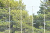 thumb_DSC_0264.JPG